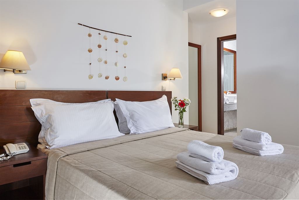 Arminda Hotel & Spa: Double Room