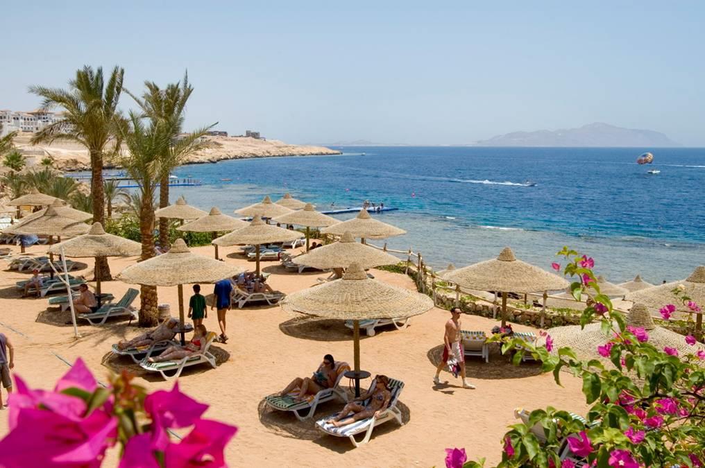 Отель island view resort. Египет отель Исланд Вью. Sunrise Island view Шарм Эль шейха. Island view 5 Шарм-Эль-Шейх. Island view Resort 5 Египет ex Sunrise Шарм-Эль-Шейх.