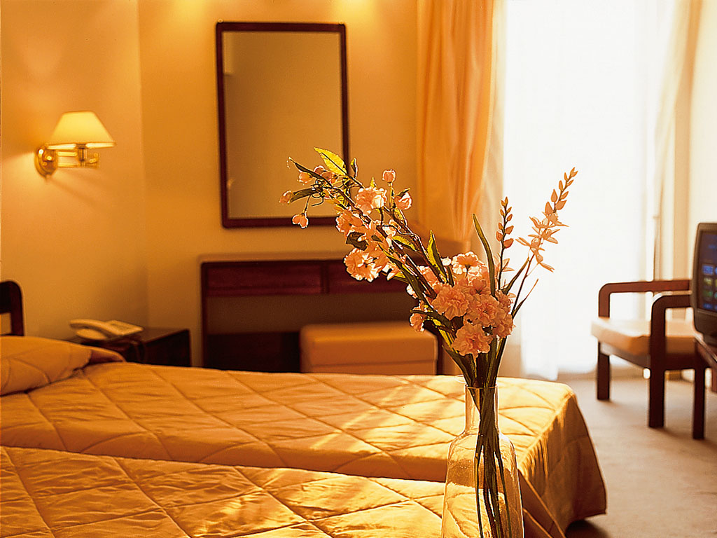 Fenix Hotel : Standard Room