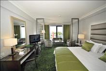 Radisson Blu Park Hotel : Business Room