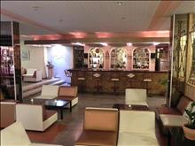 Albatros Hotel: Lobby and bar