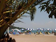 Gouvia Hotel: Beach area