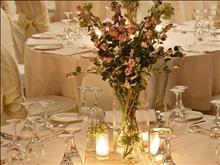 Neptune Hotels - Resort, Convention Centre & Spa