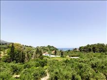 Anemomilos Studios