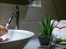 Eden Rock Resort Hotel