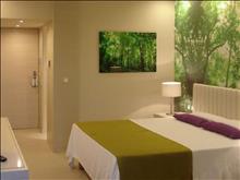 Eden Rock Resort Hotel