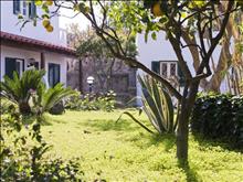 Terme Mediterraneo Hotel_4*