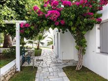 Paros Bay Sea Resort Hotel