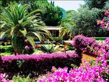Terme Villa Angela Hotel