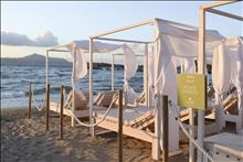 Aloe Boutique & Suites
