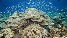 Hurawalhi Island Resort