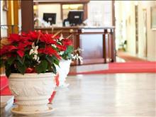 Des Anglais Hotel