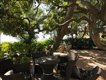 Mediterranee Grand Hotel